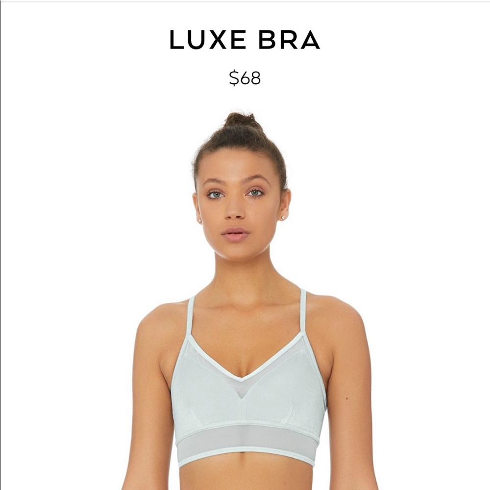ISO Alo luxe velvet bra top in blue